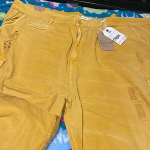 Evolution long shorts